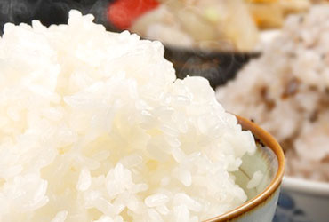 静岡県産ごはん