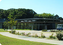 観光情報のご案内