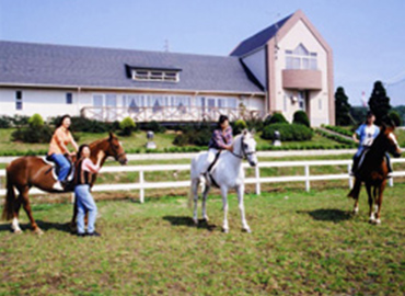 パロミノ・ポニークラブ